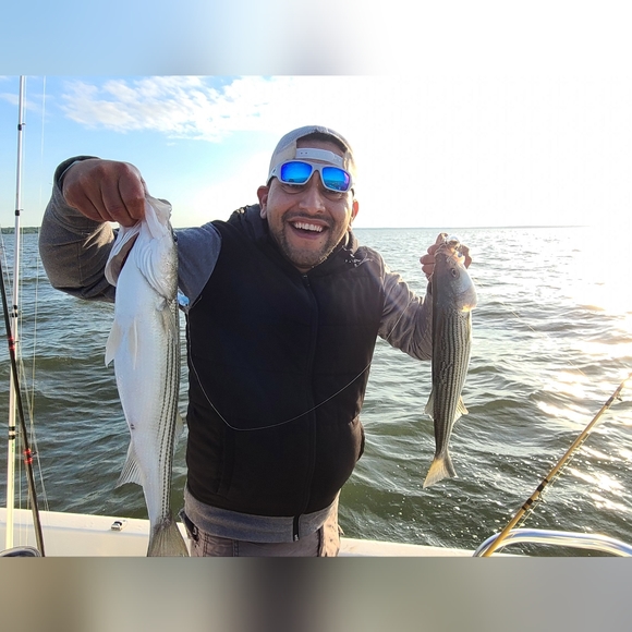 Meet your Posher, Edgar - Picture 2 of 2